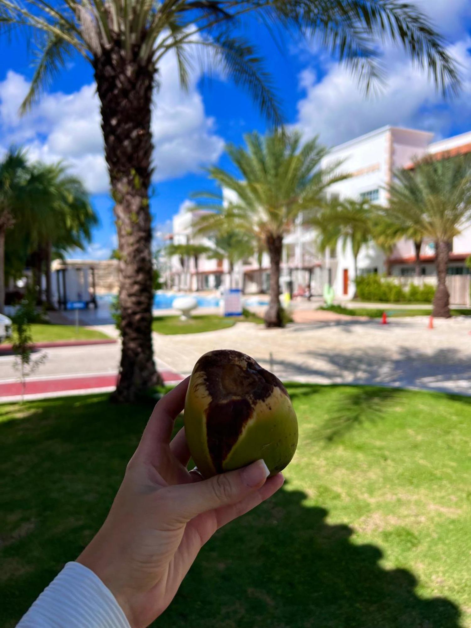 Tanama Hotel Punta Cana Buitenkant foto